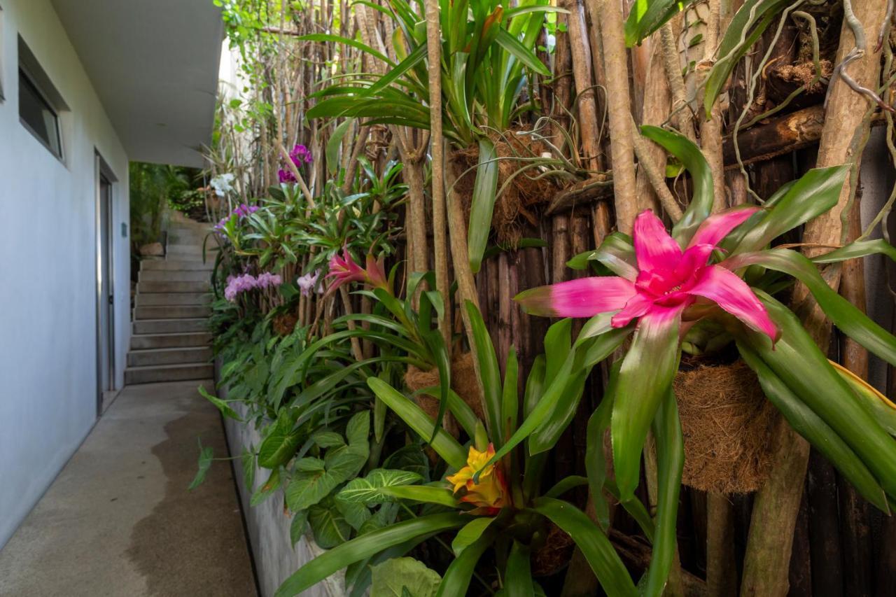 Anjali Casa Divina Hotel Sayulita Eksteriør billede