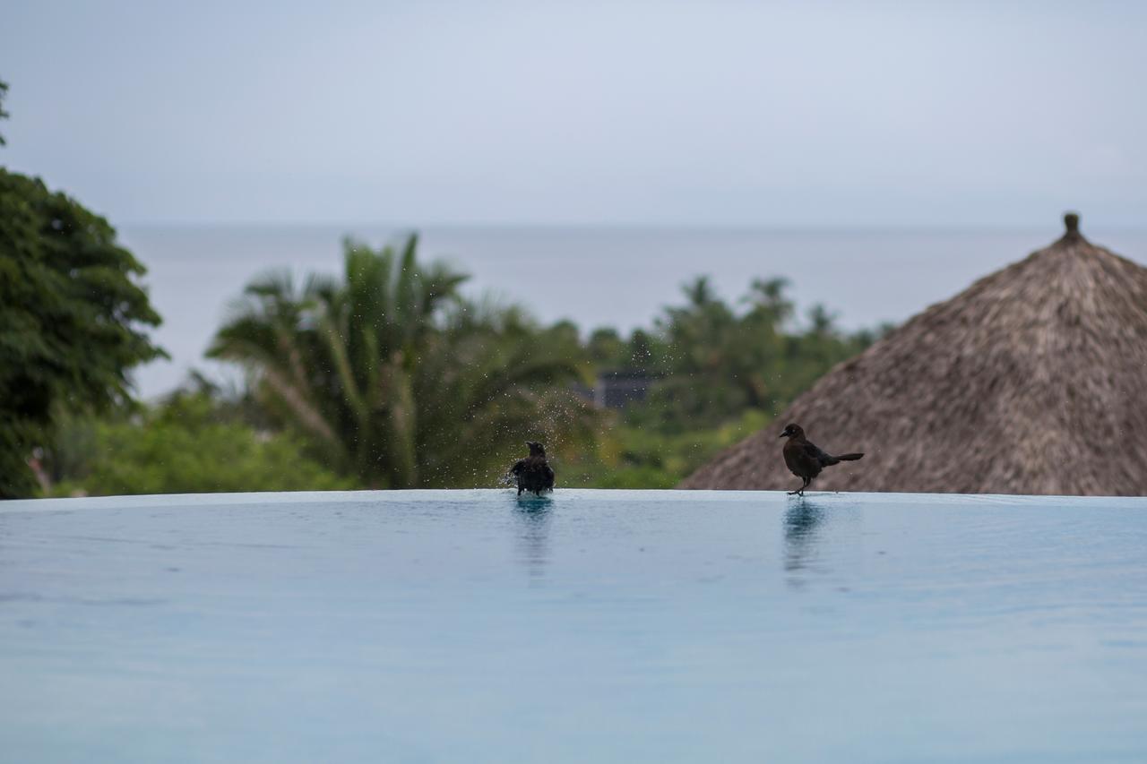 Anjali Casa Divina Hotel Sayulita Eksteriør billede